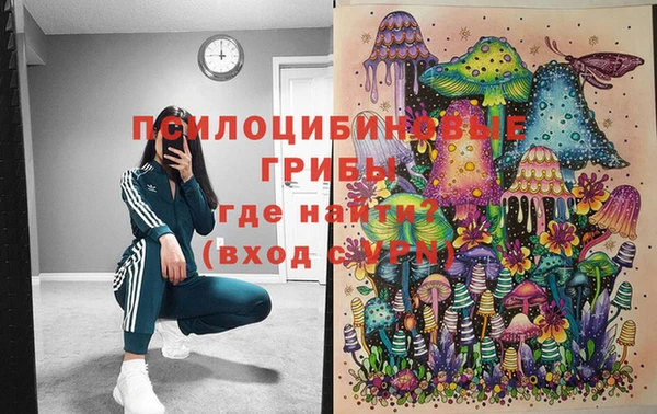 PSILOCYBIN Мурманск