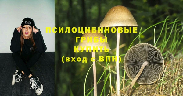 соль ск Нижневартовск