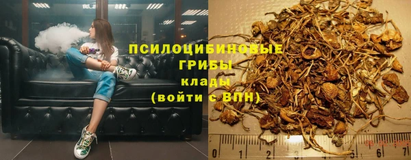PSILOCYBIN Мурманск