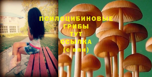 PSILOCYBIN Мурманск