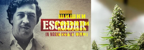 соль ск Нижневартовск