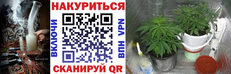 даркнет сайт Заполярный Бошки марихуана OG Kush